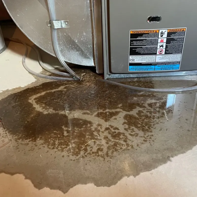 Pipe Burst and Leak Restoration in Mingo County, WV