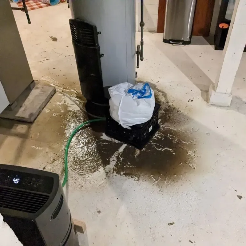 Sewage Backup Cleanup Service in Mingo County, WV